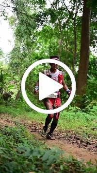 BIB:  <button type="button" onclick="openModal(26823496)" class="btn btn-primary btn-sm float-right" data-toggle="modal" data-target=".modal-high-quality">
                <i class="fa fa-download"></i> Download
                </button>